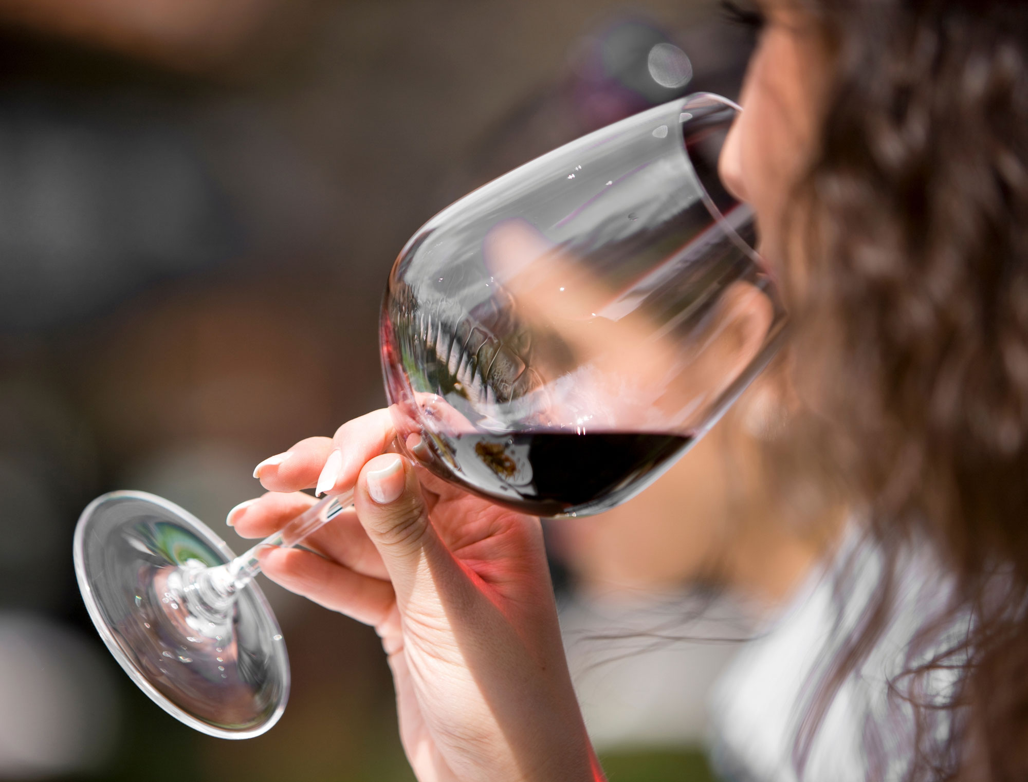 gastronomía gastronomía